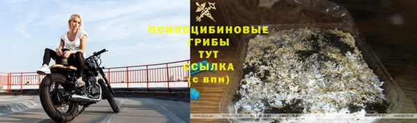 2c-b Ельня