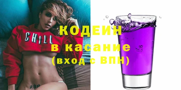 2c-b Ельня