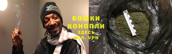 шишки Елабуга