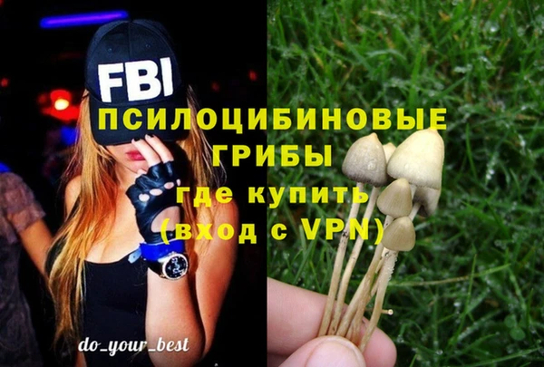 2c-b Ельня