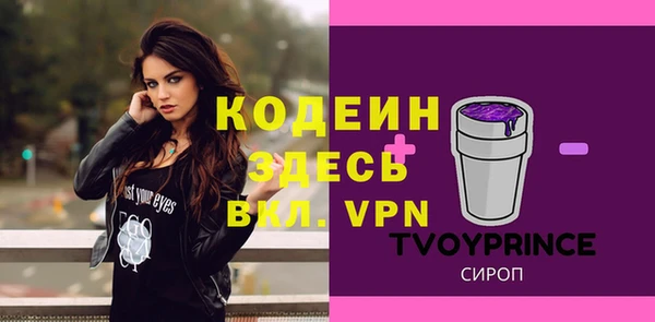 шишки Елабуга