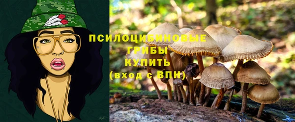 шишки Елабуга