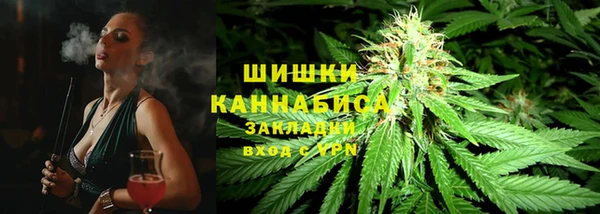 шишки Елабуга