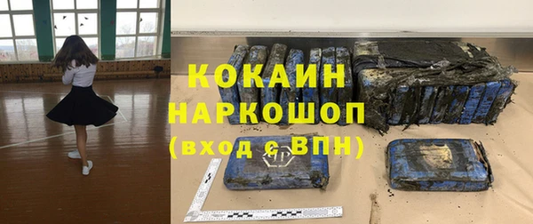 2c-b Ельня