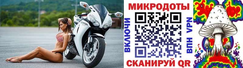 blacksprut как войти  Зеленоградск  Псилоцибиновые грибы ЛСД 